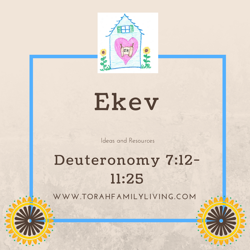 Ekev - Torah Family Living