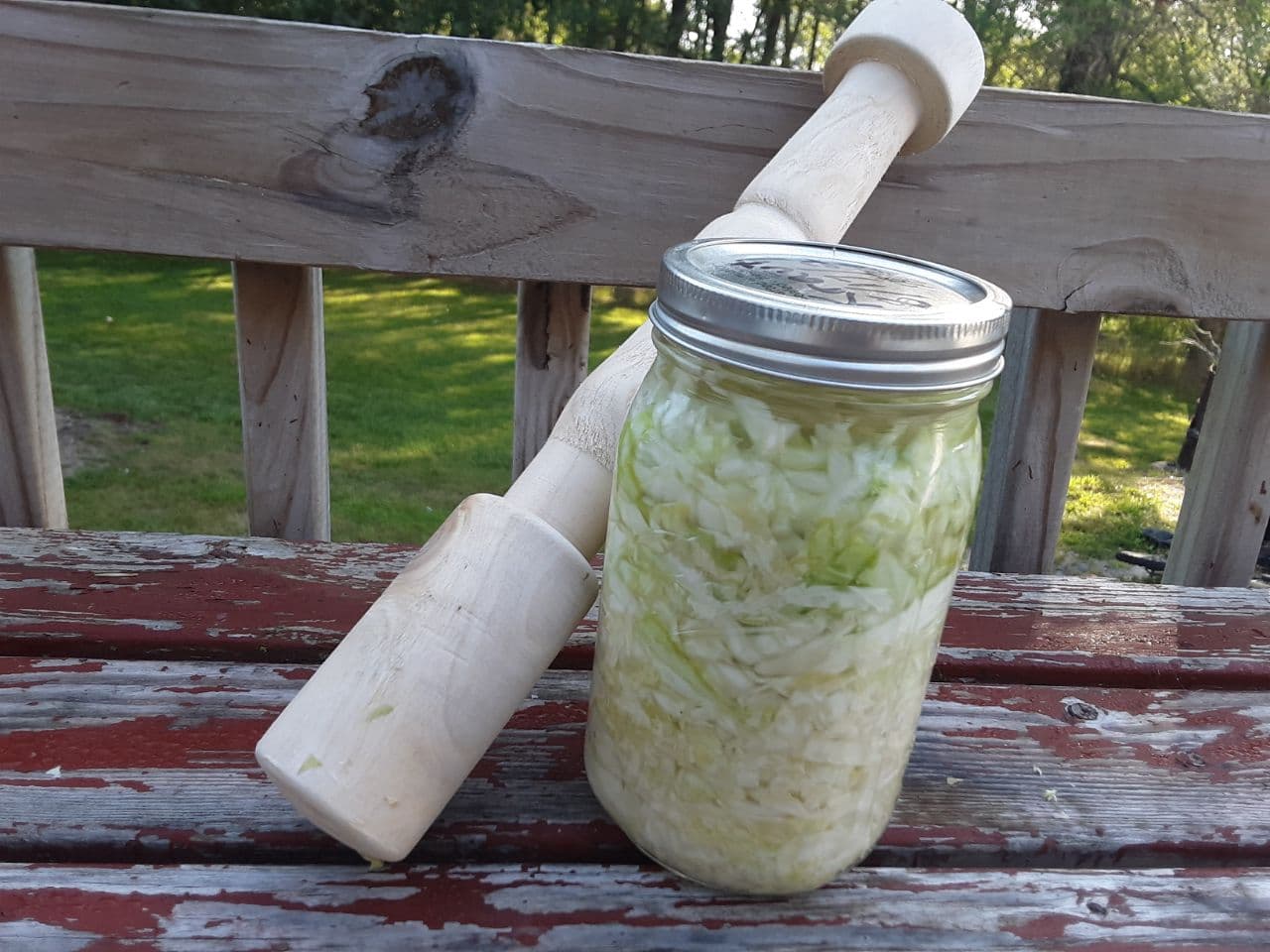 Harvesting cabbage and making kraut - Torah Family Living