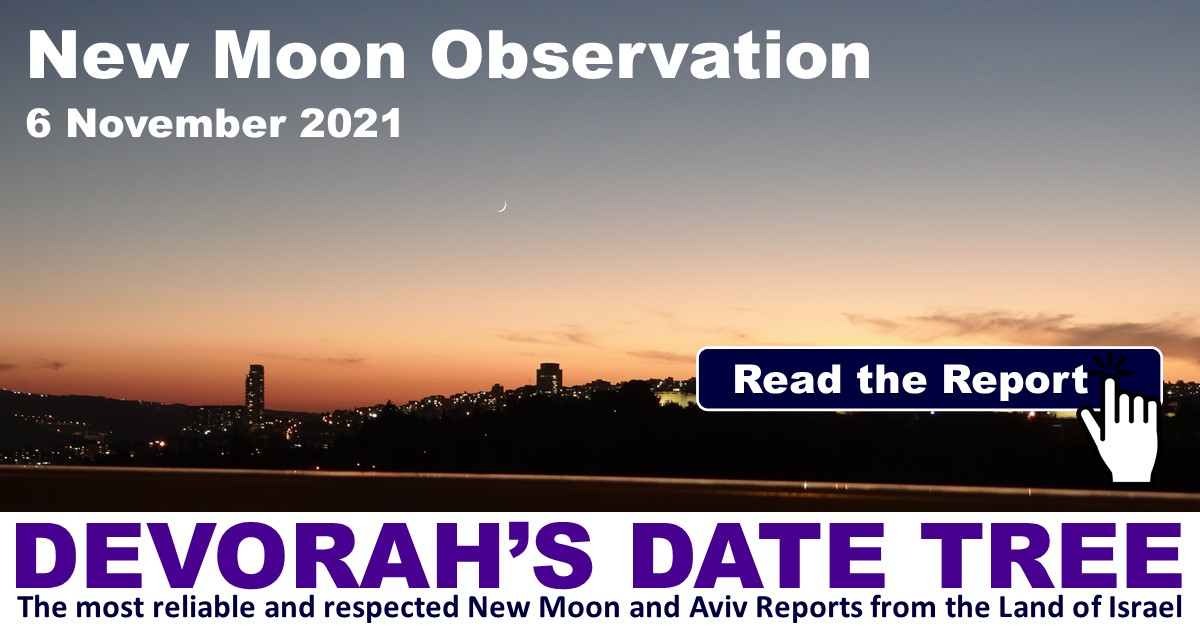 ? New Moon Report - 6 November 2021