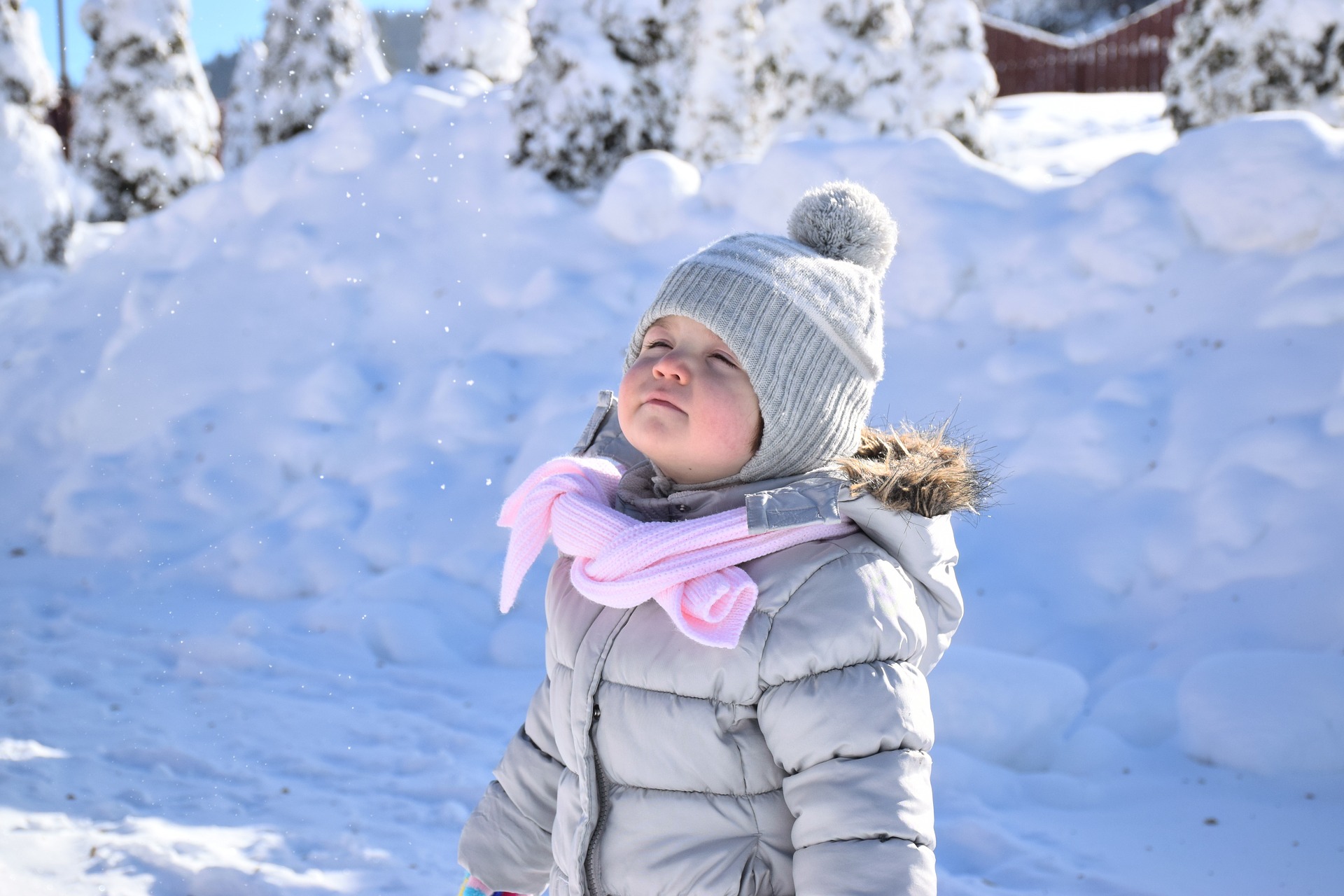 Nature study in winter - Torah Family Living