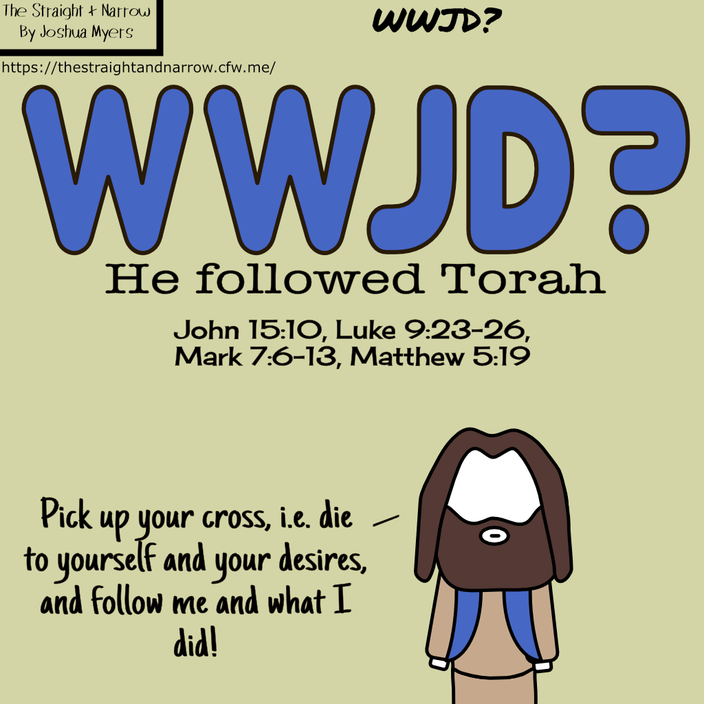 The Straight + Narrow - WWJD?