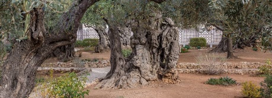 Ancient Paths Homestead