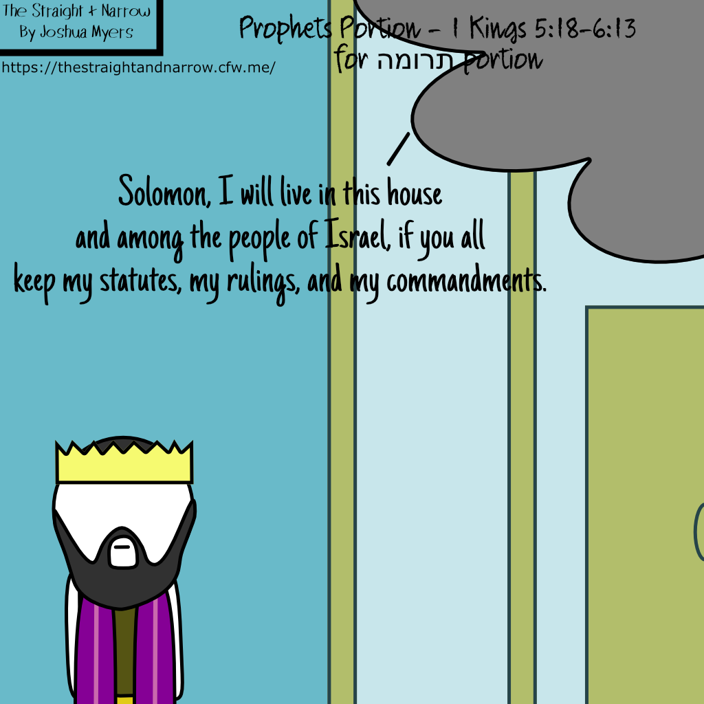 The Straight + Narrow - Prophets Portions - 1 Kings 5:18-6:13