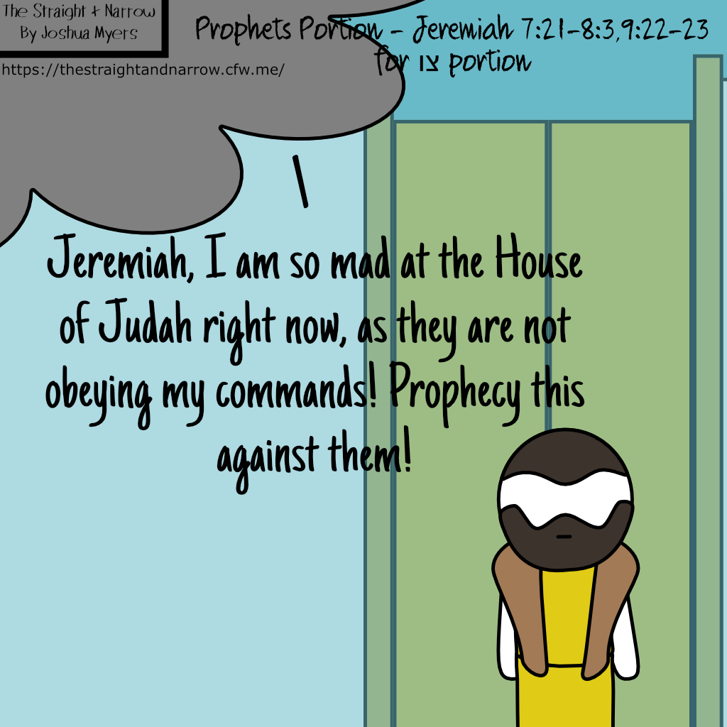 The Straight + Narrow - Prophets Portion - Jeremiah 7:21-8:3,9:22-23