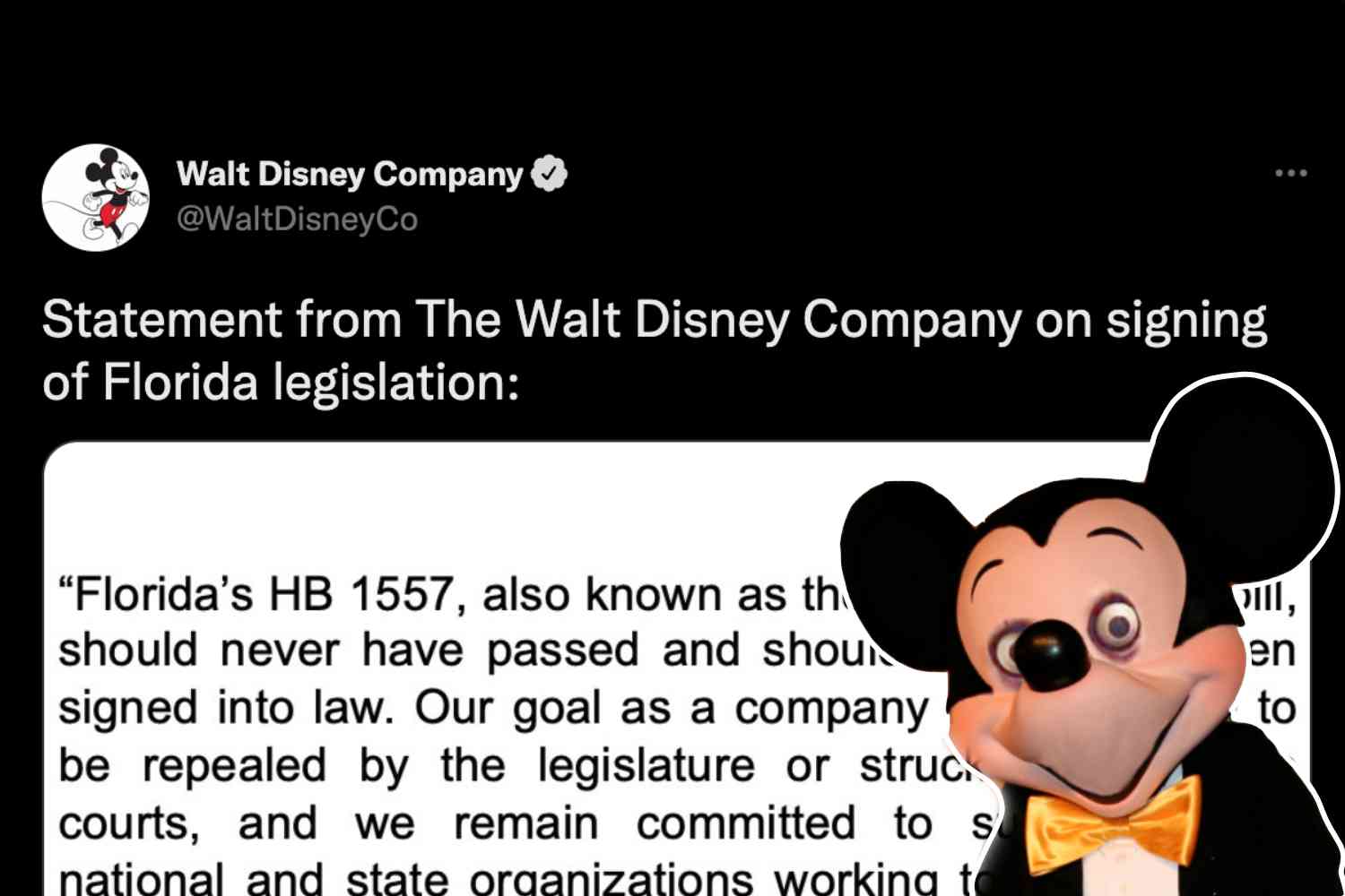 Children's entertainment company Disney laments passage of law that [checks notes]...  protects young kids from sexual groomers | Not the Bee