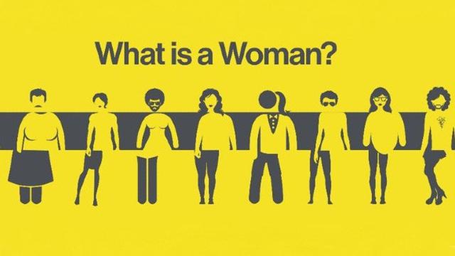 What Is A Woman? by Matt Walsh (2022)