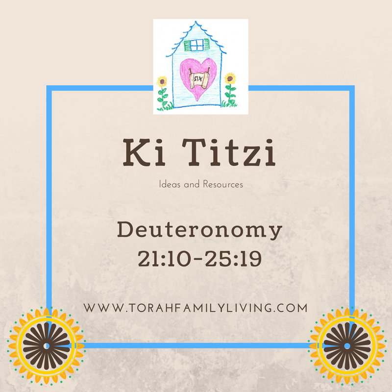 Ki Teitzi - Torah Family Living