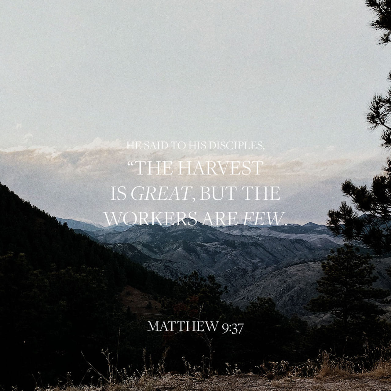 Mattithyahu (Matthew) 9:36-38 And having seen the crowds, He was moved with compassion for them, because they were weary and scattered, as sheep having no shepherd. Then He said to His taught ones, “The harvest truly is great, but | The Scriptures 2009 (TS2009) | Download The Bible App Now