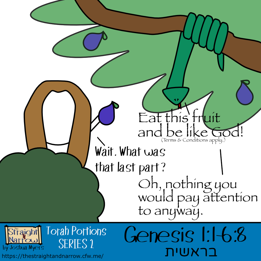 The Straight + Narrow - Torah Portions Series 2: בראשית (In Beginning)