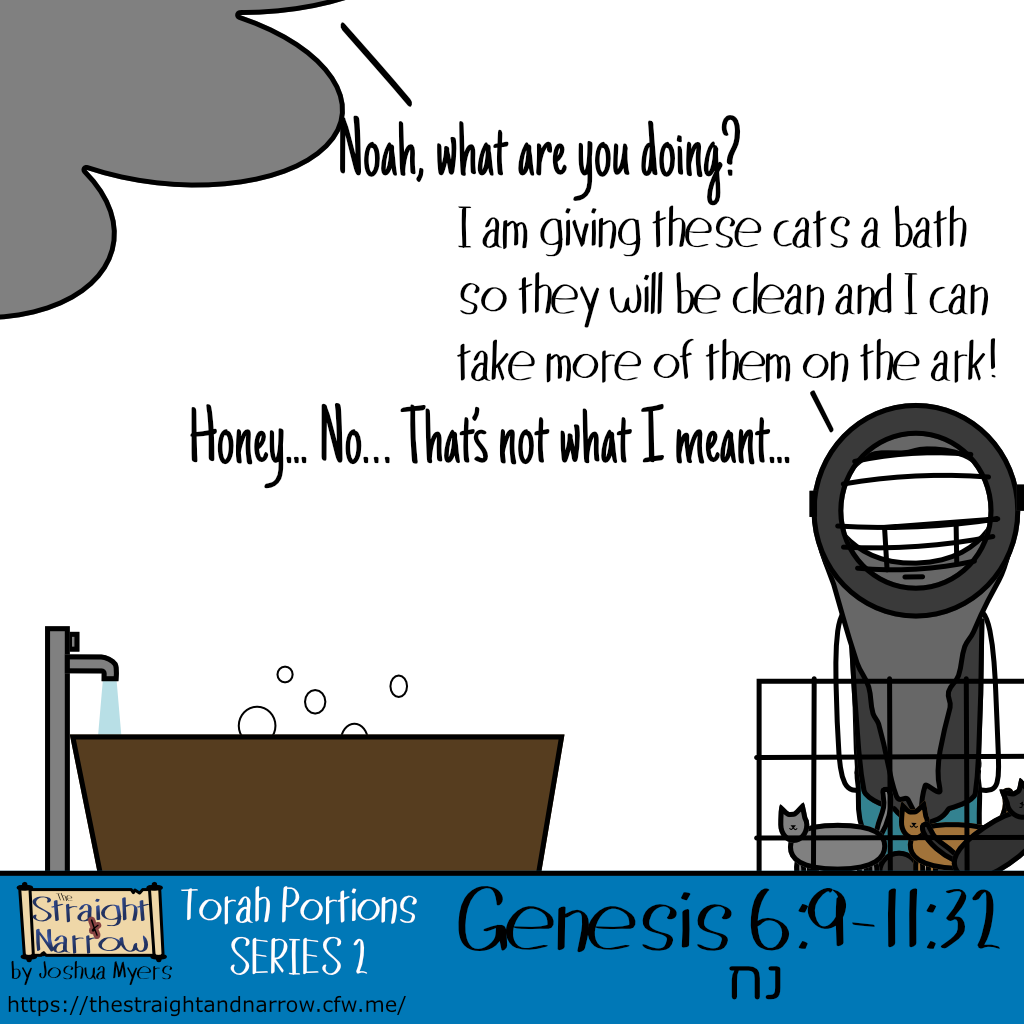 The Straight + Narrow - Torah Portions Series 2: נח (Noah)