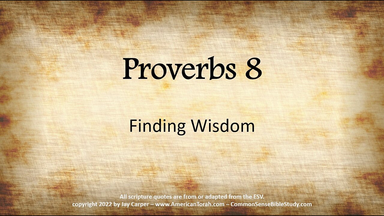 Leveling Up in Wisdom - Proverbs 8:1-4