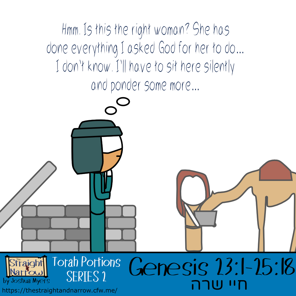 The Straight + Narrow - Torah Portions Series 2: חיי שרה (Sarah's Life)