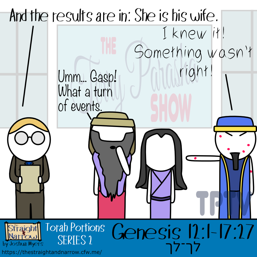 The Straight + Narrow - Torah Portions Series 2: לך לך (Go forth)