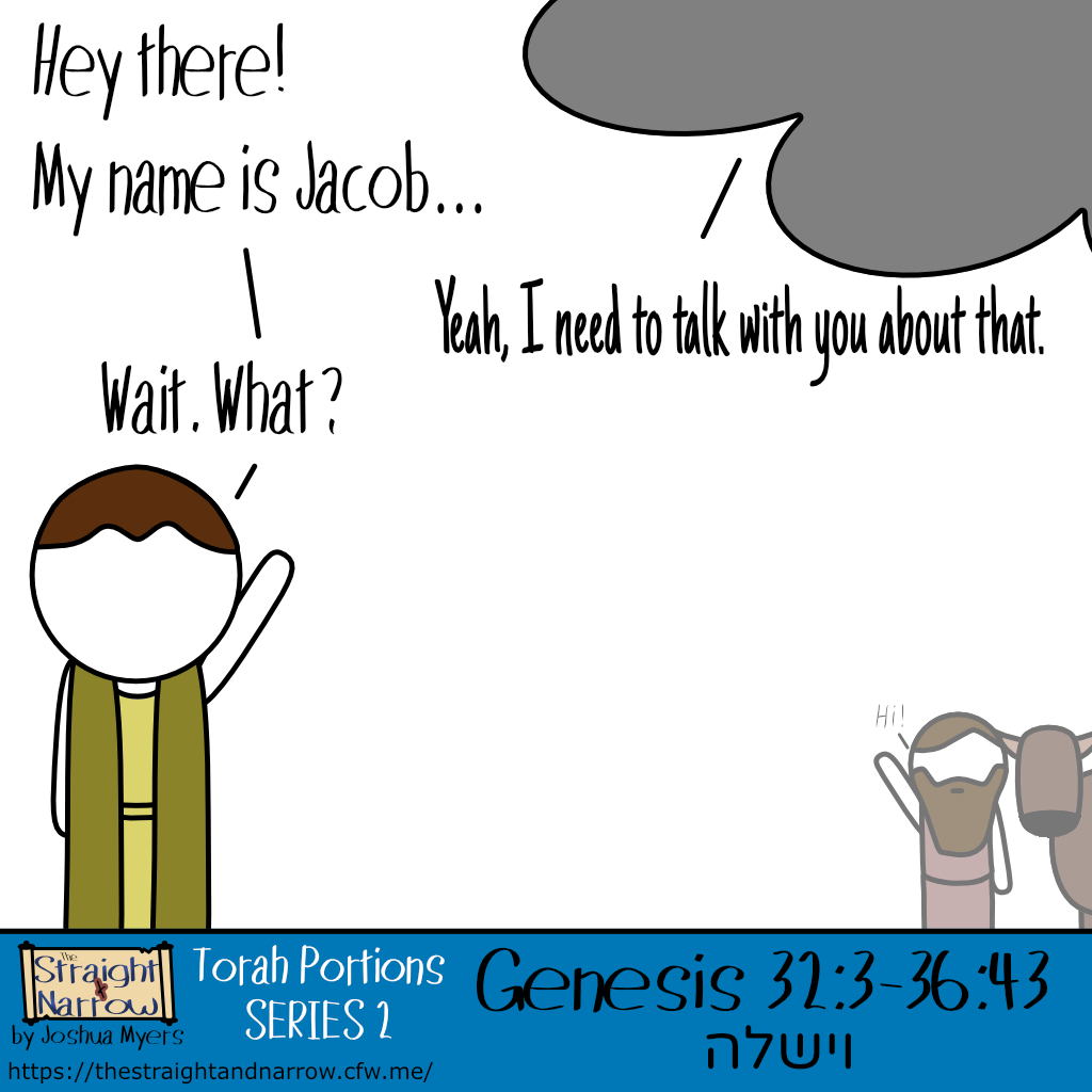 The Straight + Narrow - Torah Portions Series 2: וישלה (He sent)