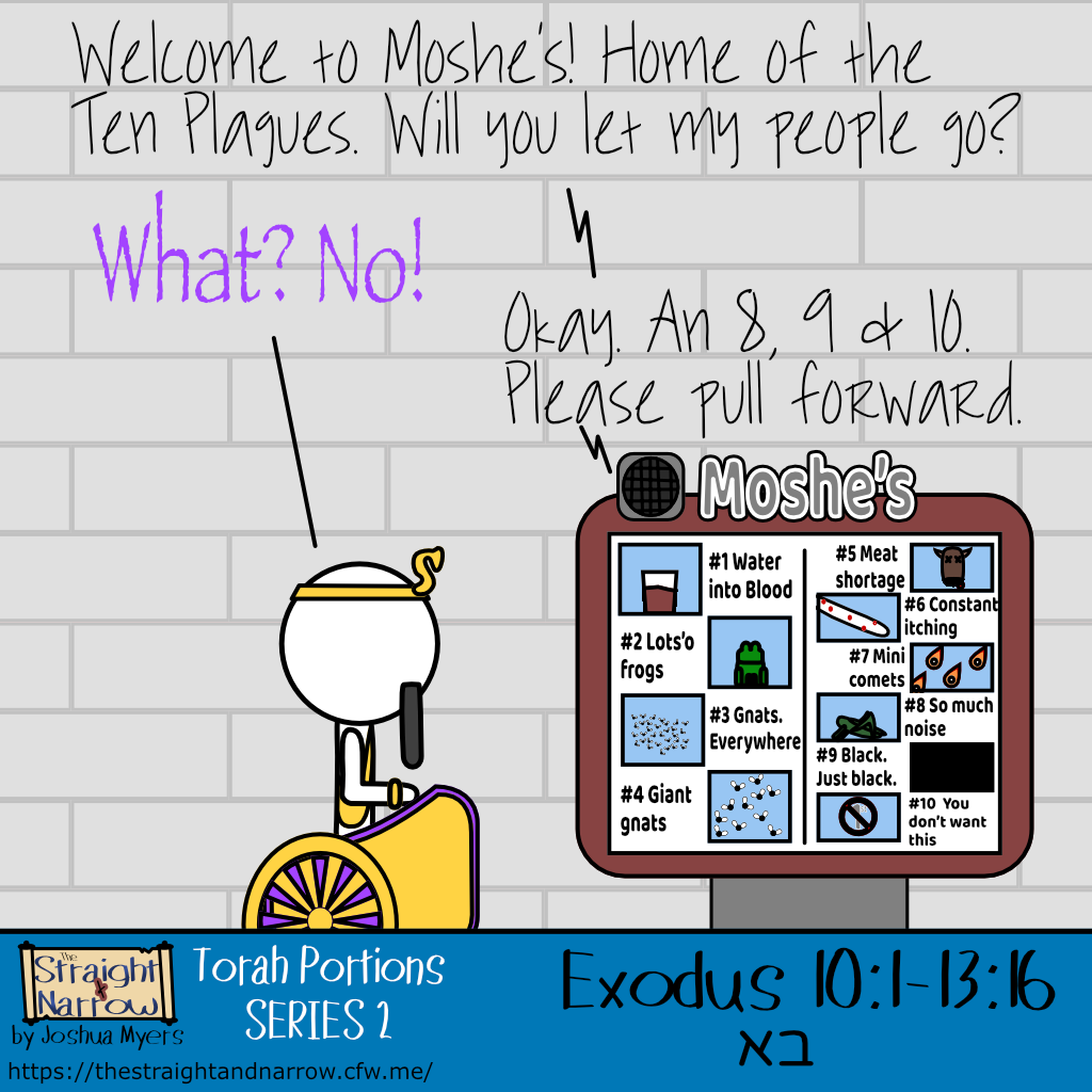 The Straight + Narrow - Torah Portions Series 2: בא (Come)