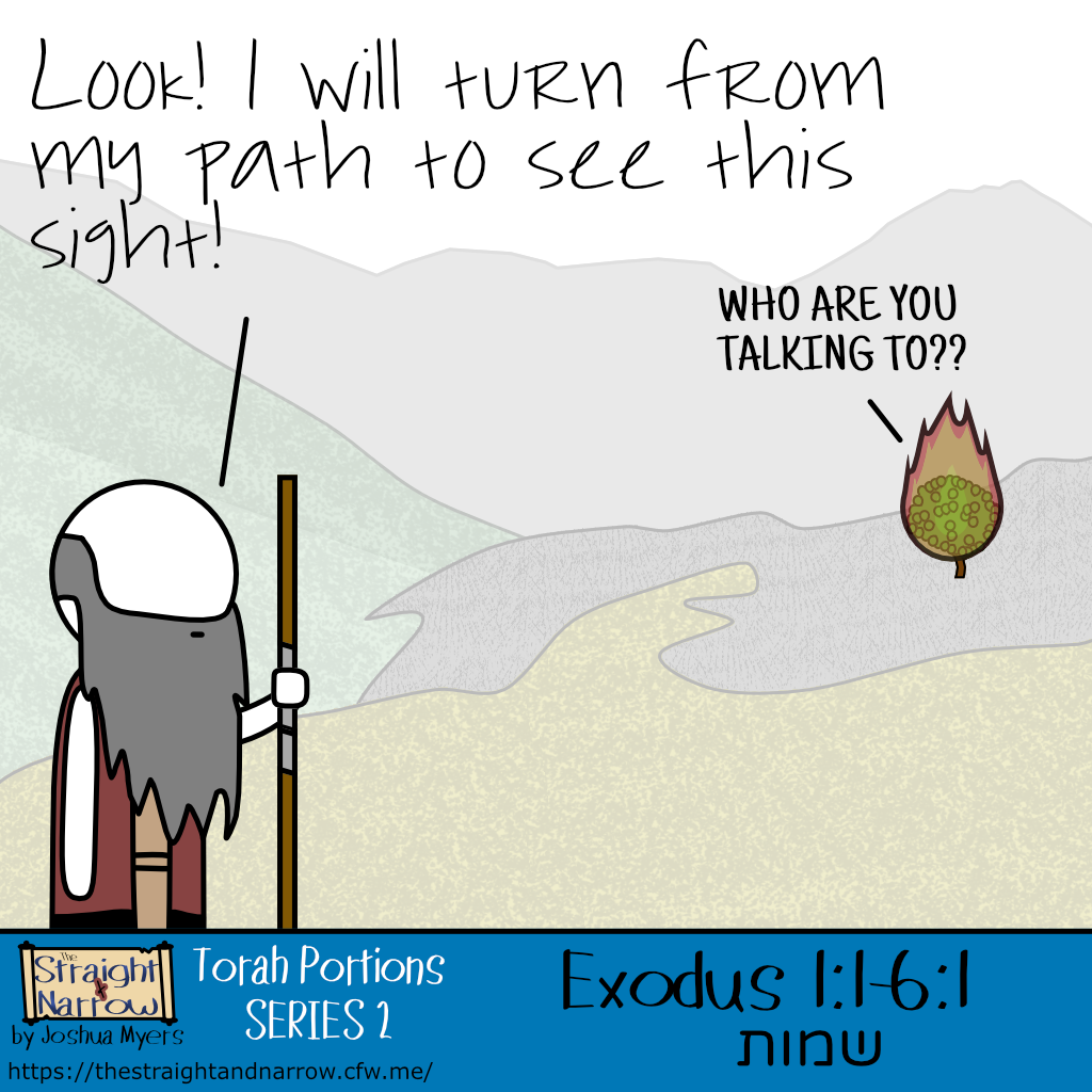 The Straight + Narrow - Torah Portions Series 2: שמות (Names)