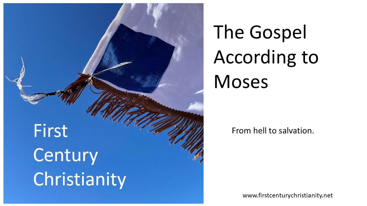 The Gospel According to Moses -