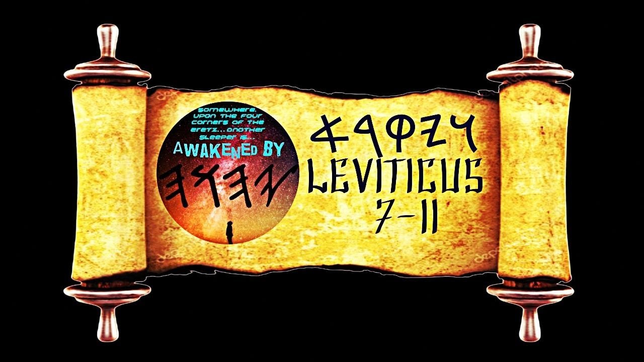 Lev 7-11 - YouTube