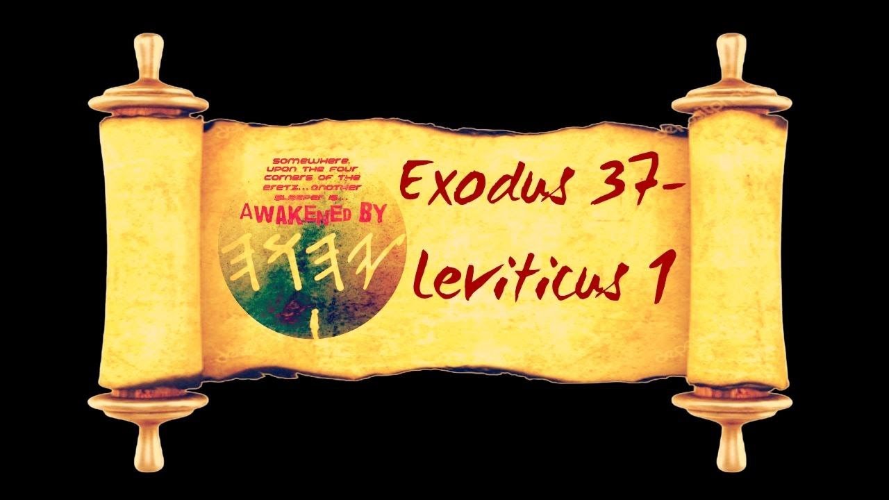 Exo 37-Lev 1 - YouTube