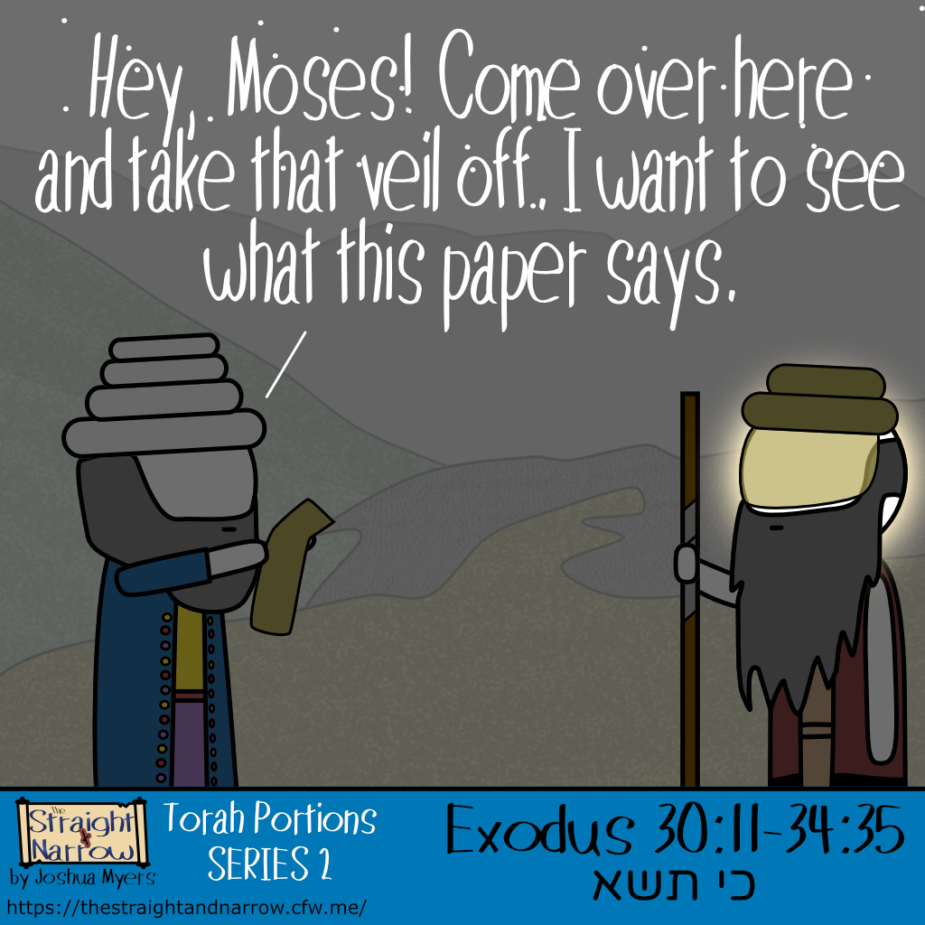 The Straight + Narrow - Torah Portions Series 2: כי תשא (When you take)