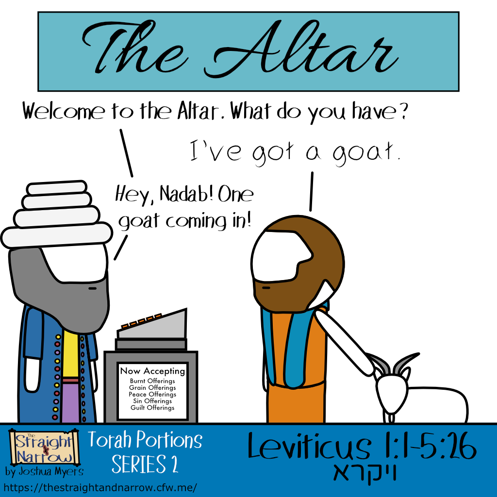 The Straight + Narrow - Torah Portions Series 2: ויקרא (And he called)