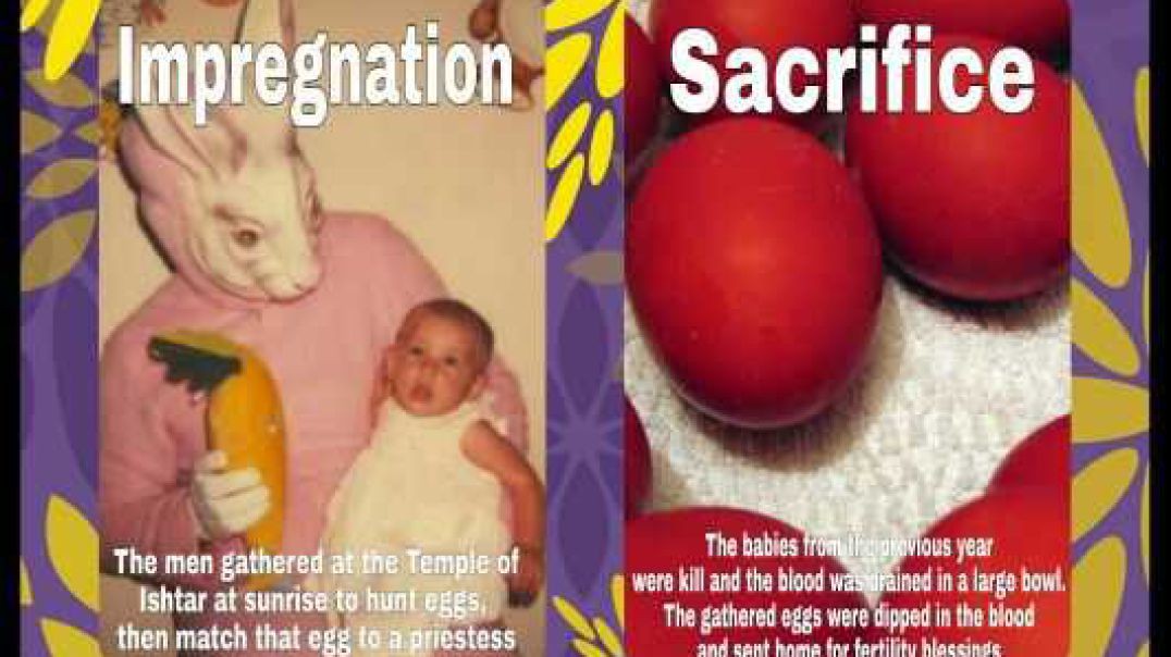 What the new covenant bible says about Easter Sunday eggs egg laying rabbits Easter bunny and more!