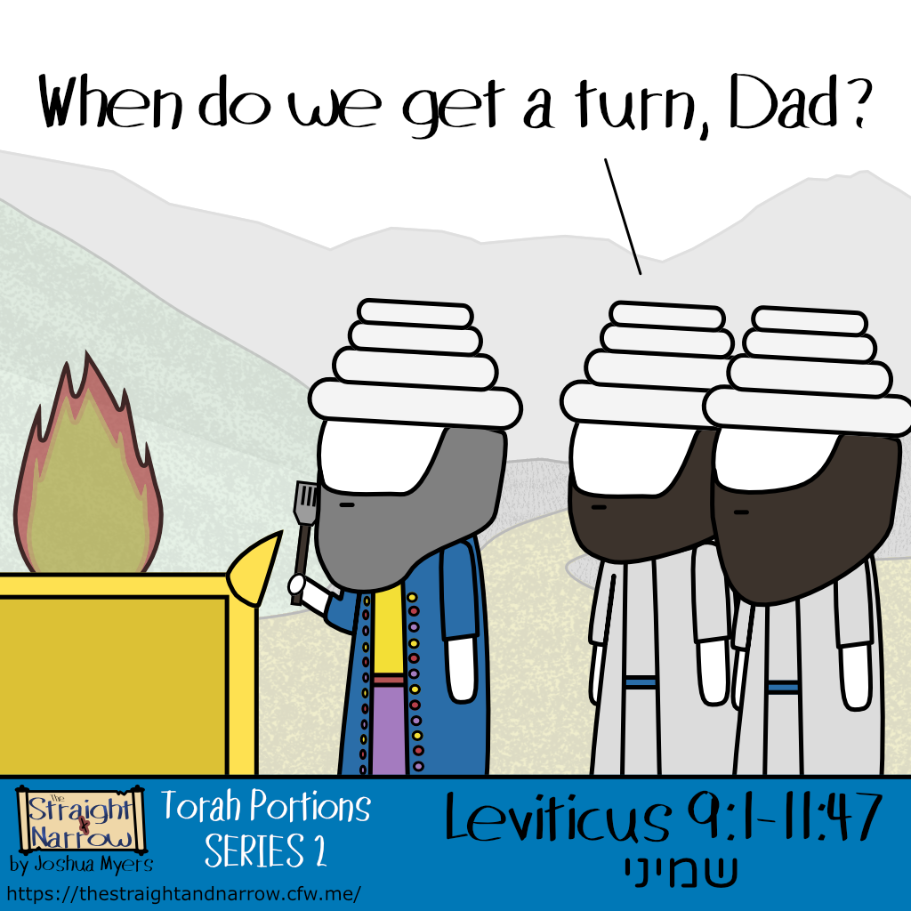 The Straight + Narrow - Torah Portions Series 2: שמיני (Eighth)