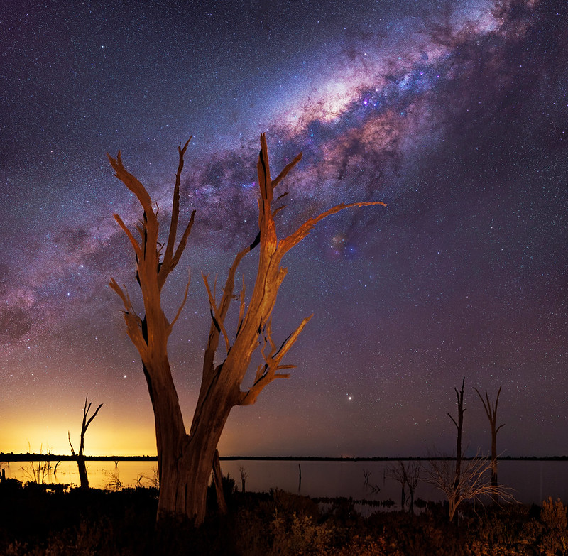 Counting the Dark Stars - The Barking Fox