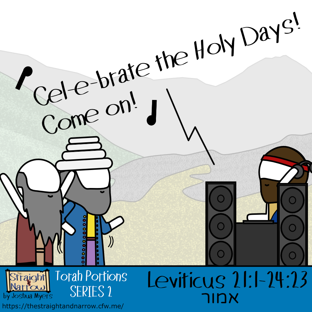 The Straight + Narrow - Torah Portions Series 2: אמור (Say)