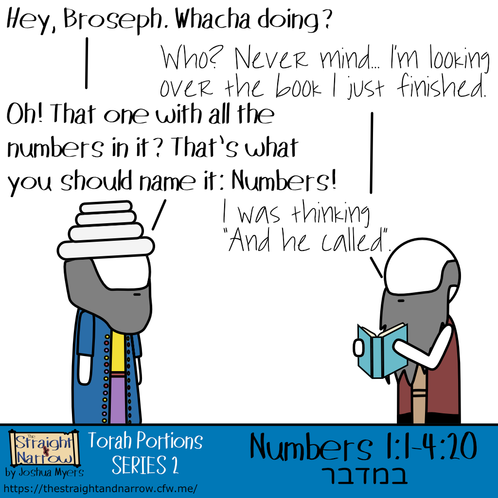 The Straight + Narrow - Torah Portions Series 2: במדבר (In the wilderness)