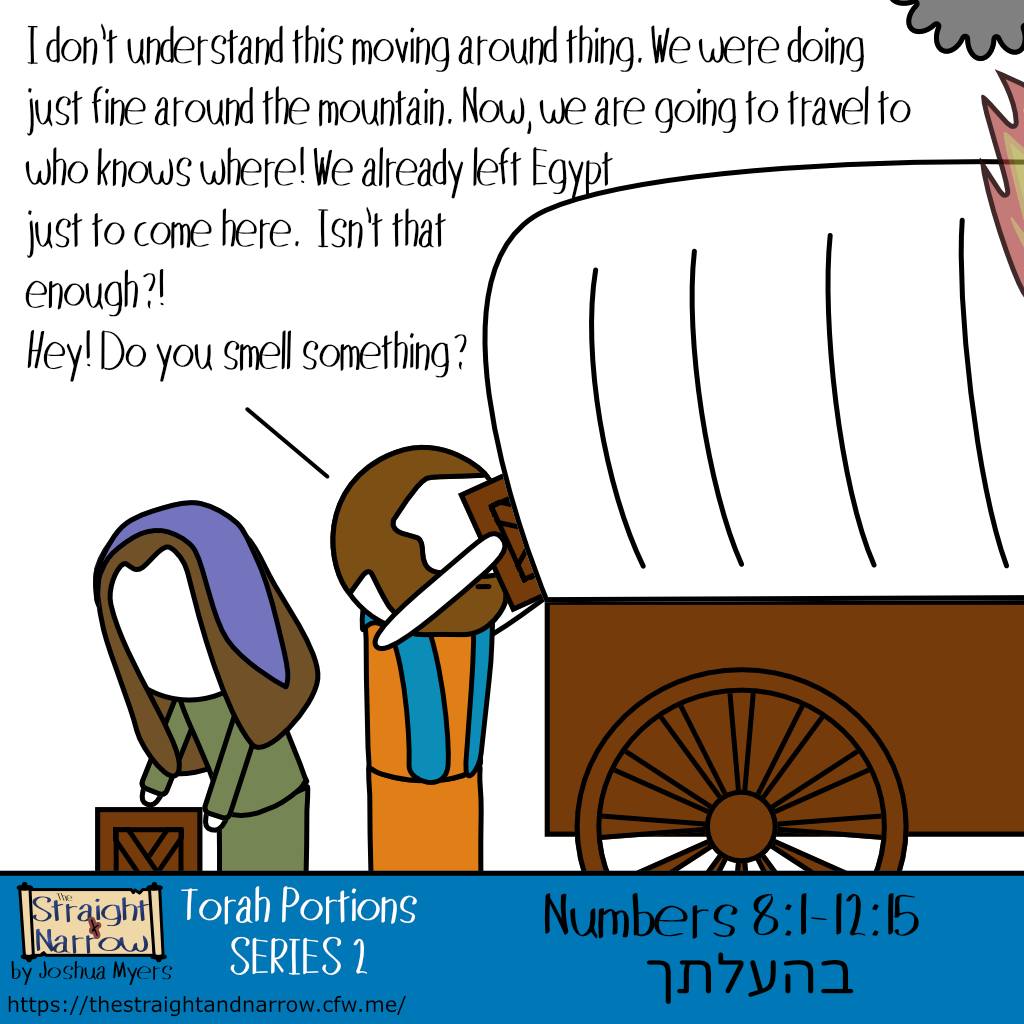 The Straight + Narrow - Torah Portions Series 2: בהעלתך (When you set up)