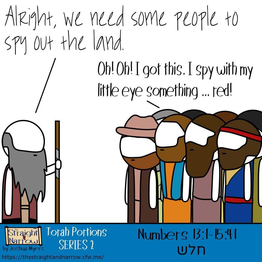 The Straight + Narrow - Torah Portions Series 2: שלח (Shelach)