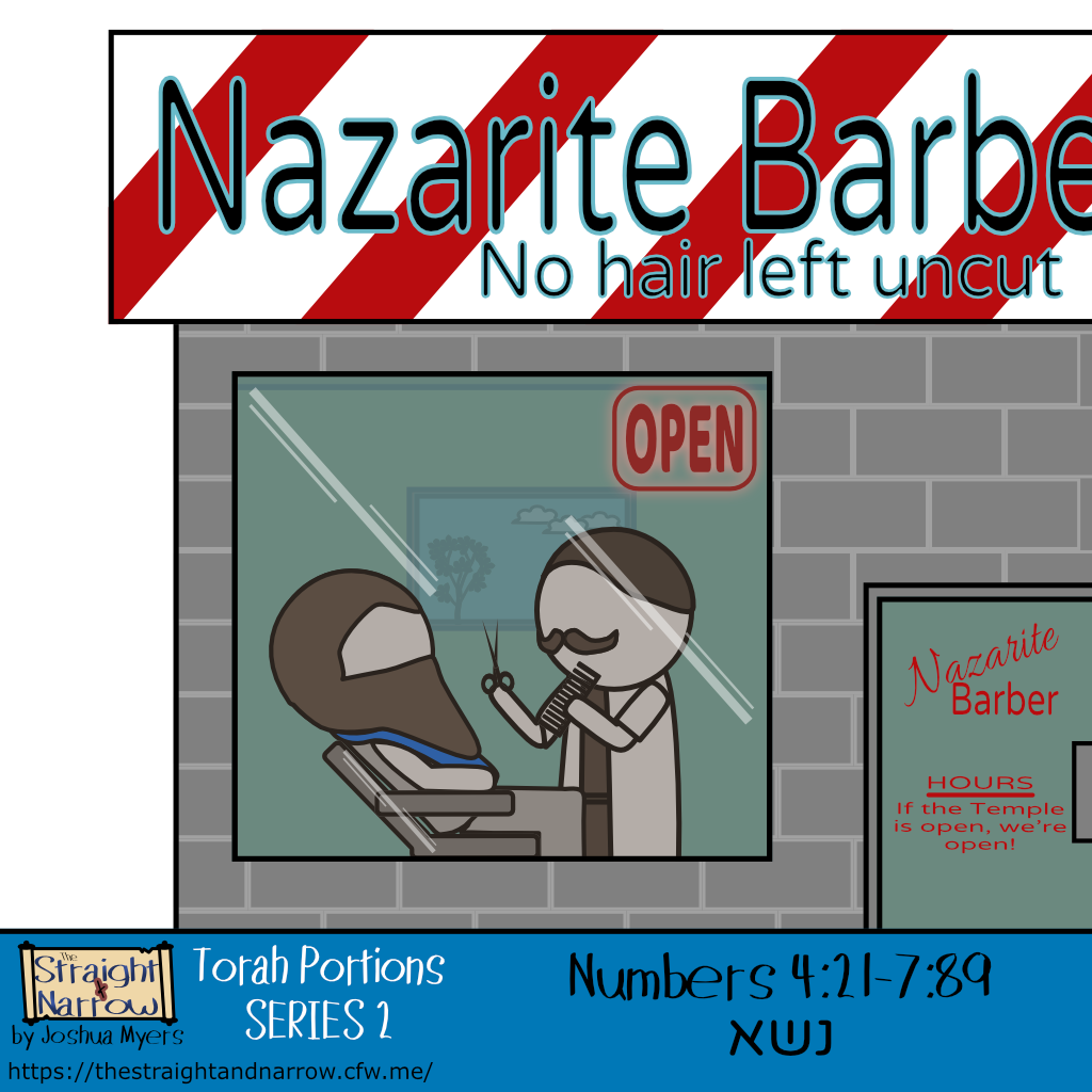 The Straight + Narrow - Torah Portions Series 2: נשא (Take up)