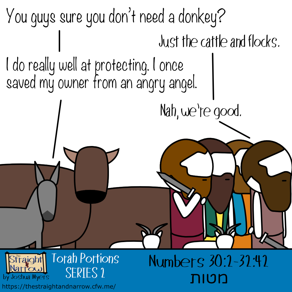 The Straight + Narrow - Torah Portions Series 2: מטות (Tribes)