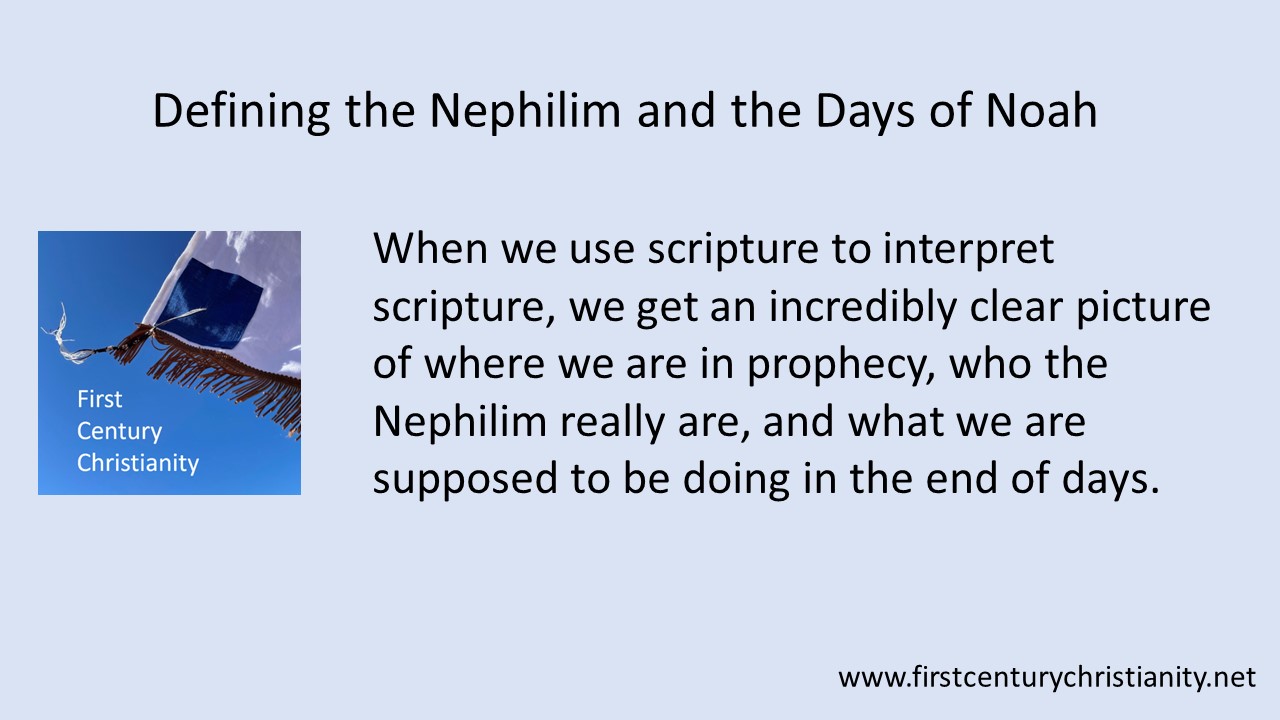 Defining the Nephilim and the Days of Noah -