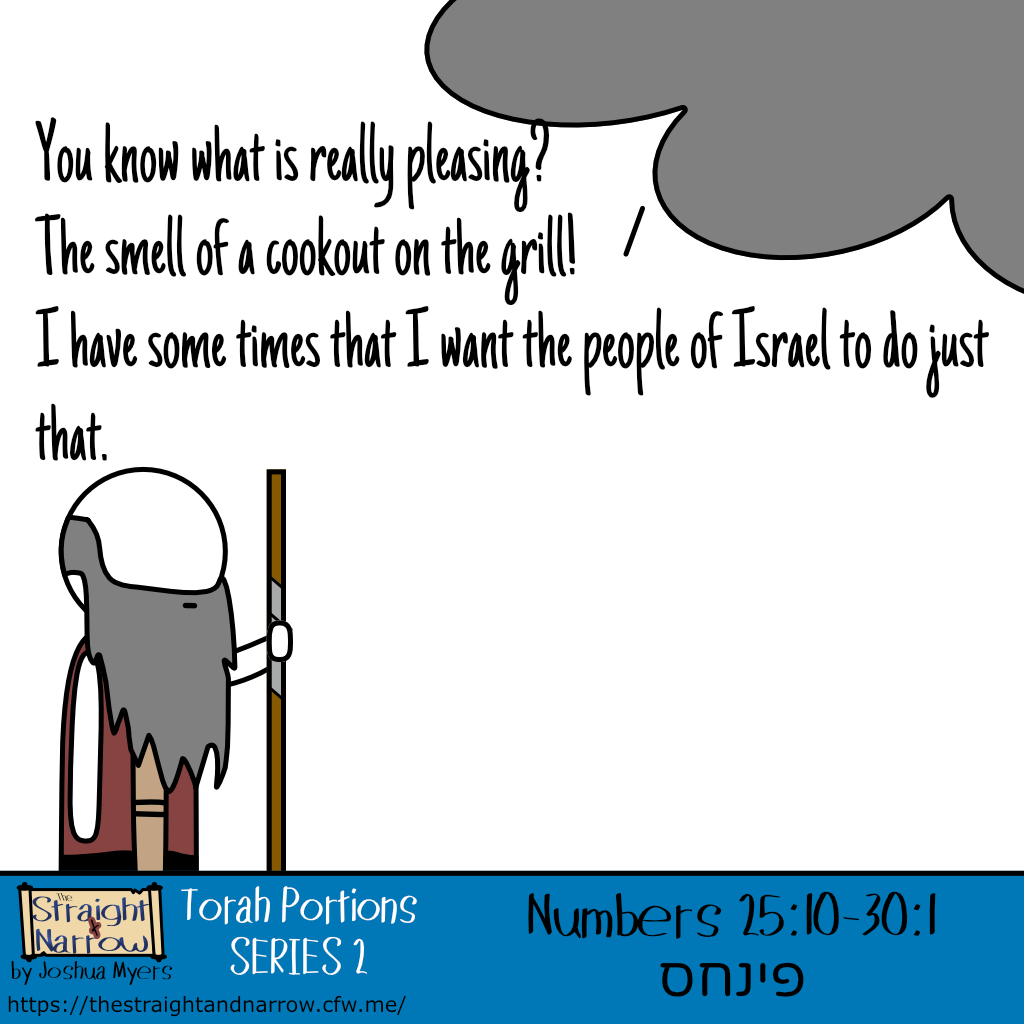 The Straight + Narrow - Torah Portions Series 2: פינחס (Phinehas)