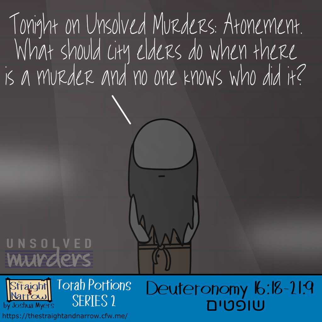 The Straight + Narrow - Torah Portions Series 2: שופטים (Judges)