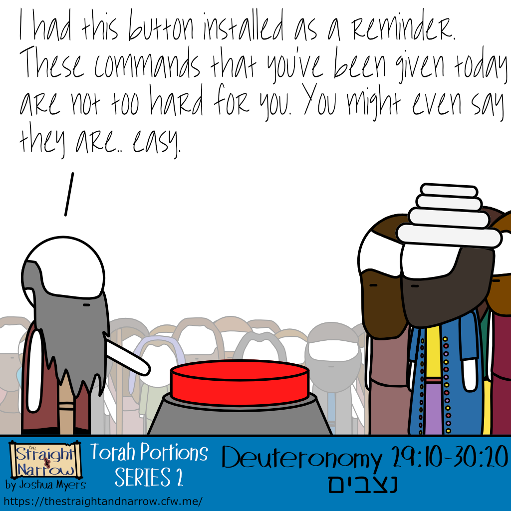 The Straight + Narrow - Torah Portions Series 2: נצבים (Standing)