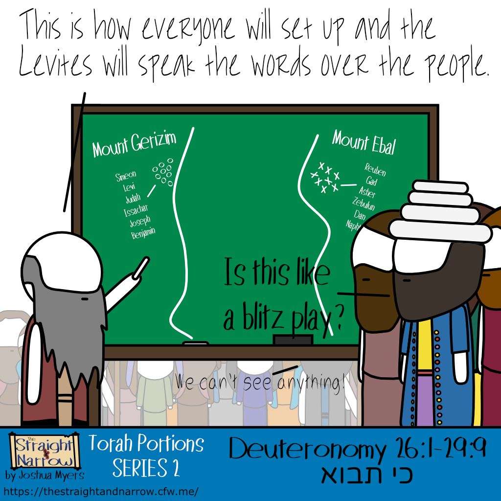 The Straight + Narrow - Torah Portions Series 2: כי תבוא (When you come in)