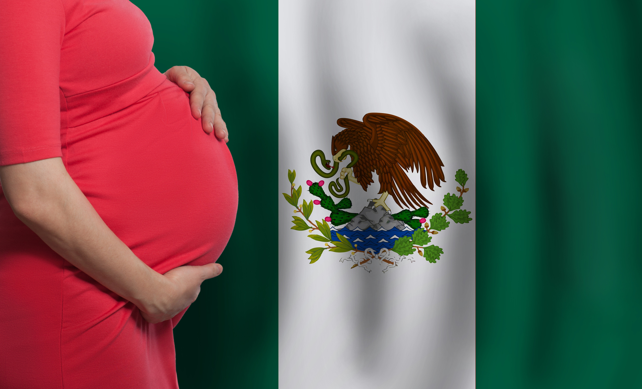 The Abortion Movement is Lying About Mexico - PRI