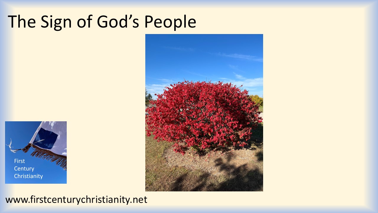 The Sign of God's People -