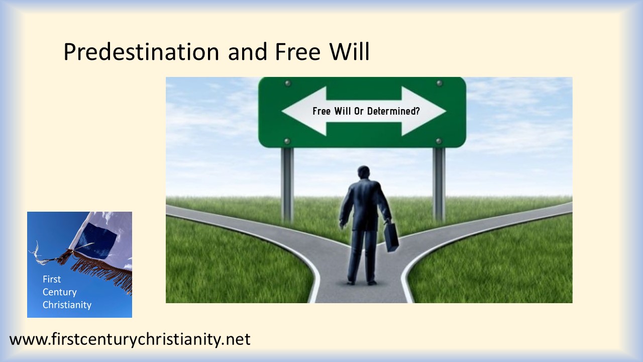 Predestination and Free Will -