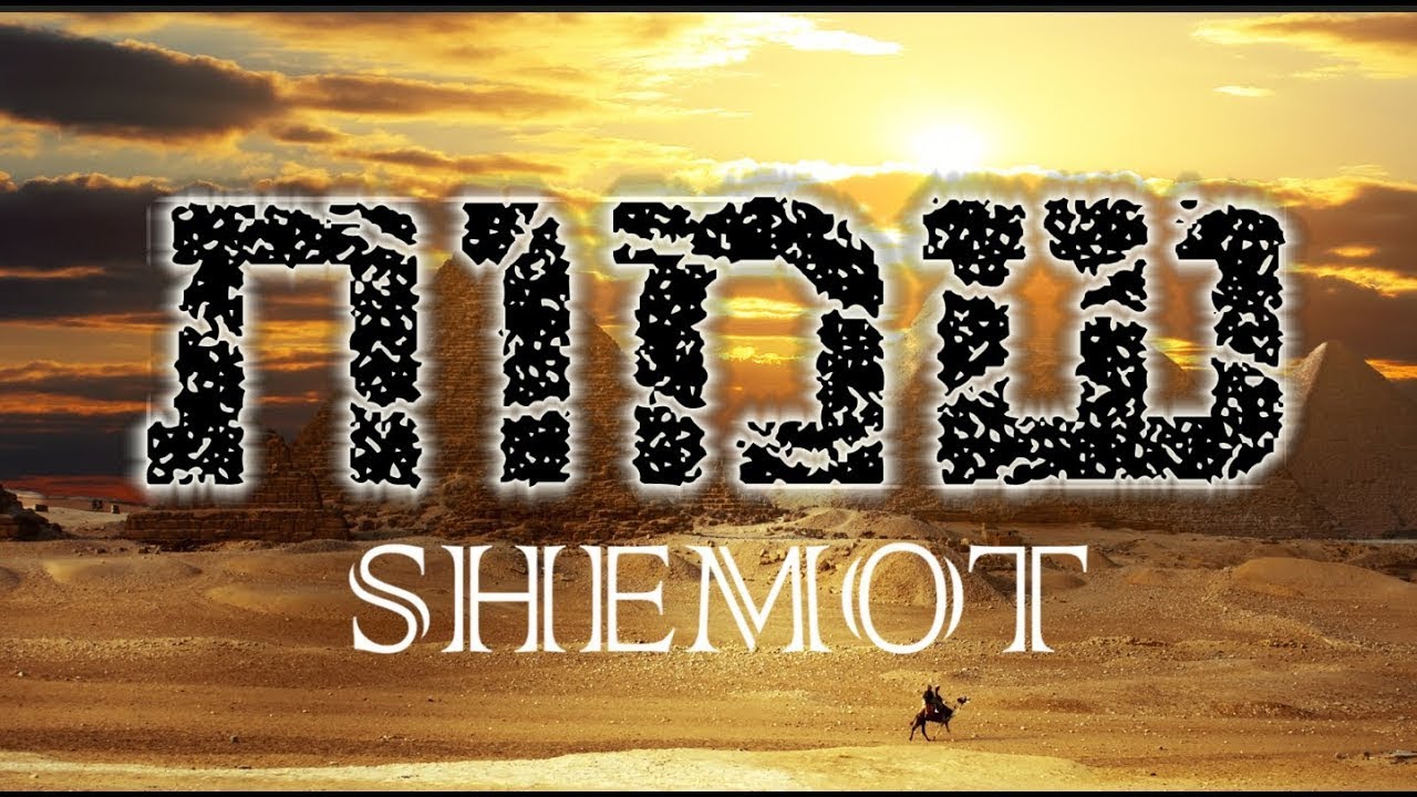 The Fire in the Bush and Lessons From Shemot - YouTube