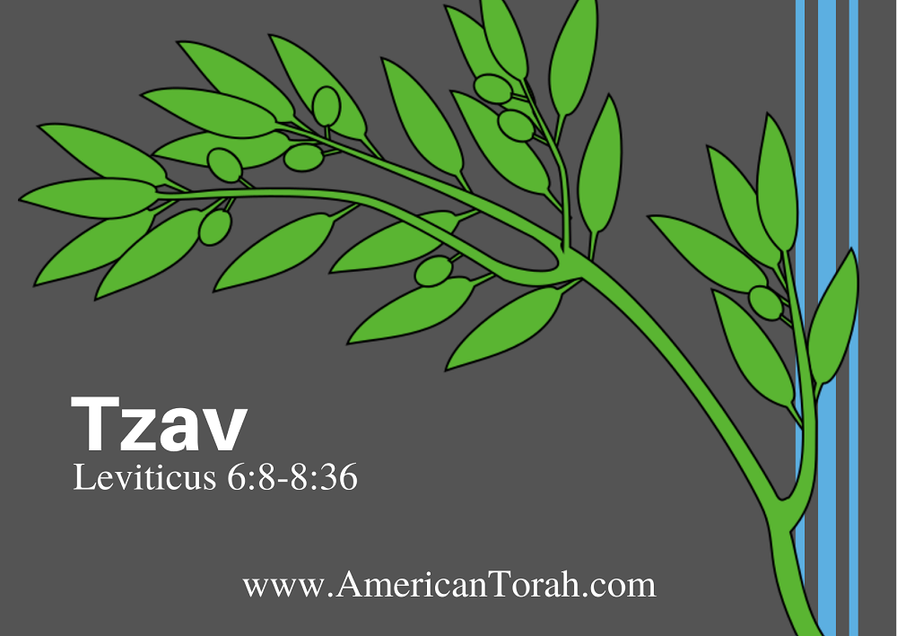 Parsha Tzav - Apostolic Readings, Commentary, and Videos - American Torah