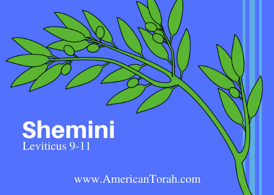 Parsha Shmini - Apostolic Readings, Links, and Videos - American Torah