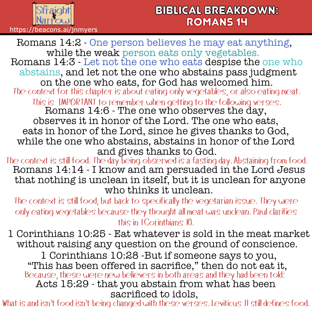 The Straight + Narrow - Biblical Breakdowns: Romans 14