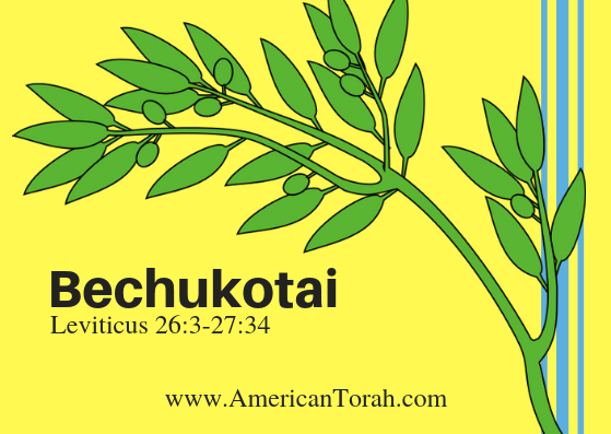 Parsha Bechukotai – Apostolic Readings, Links, and Videos - American Torah