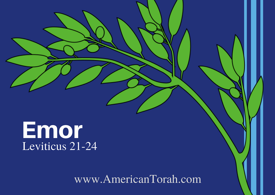 Parsha Emor - Apostolic Readings, Links, and Videos - American Torah