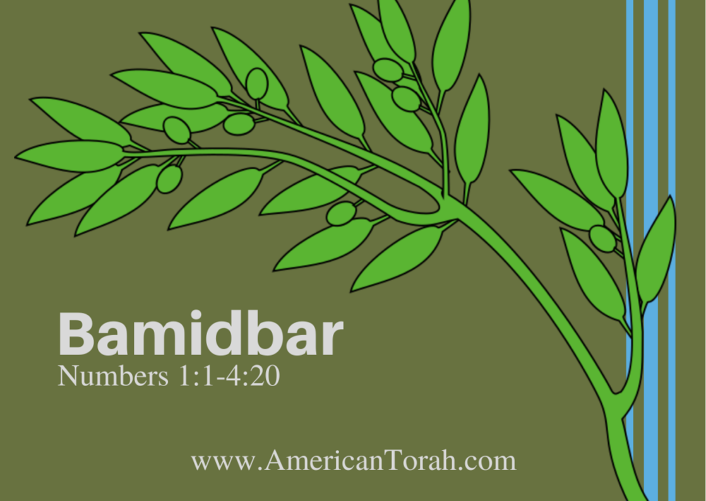 Parsha Bamidbar- Apostolic Readings, Links, and Videos - American Torah