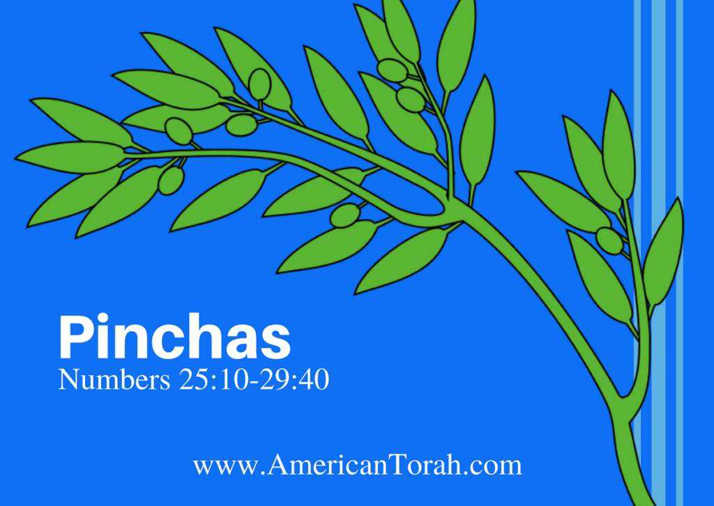 Parsha Pinchas - Apostolic Readings, Commentary, and Video - American Torah